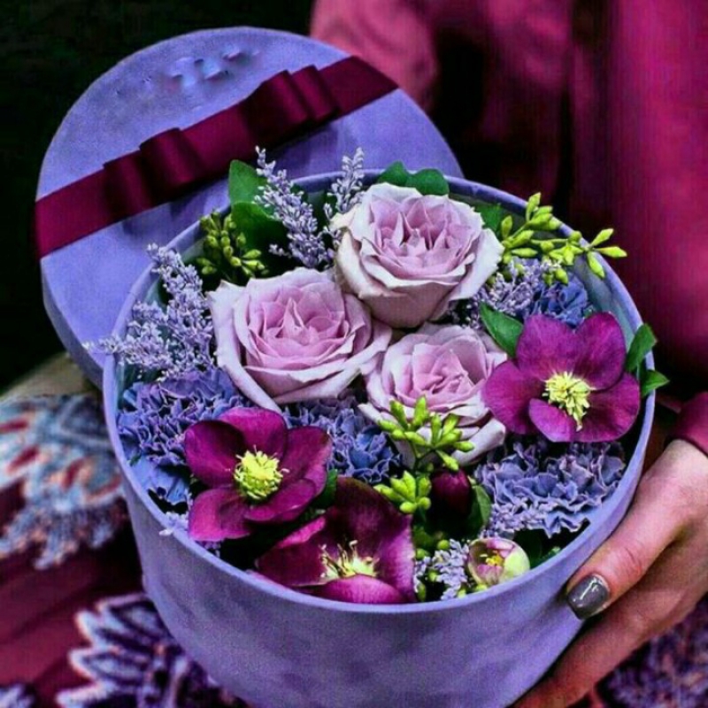 جویای سویت کوچک برای اجاره