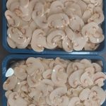 پخش قارچ دکمه ای روزانه