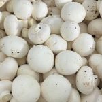 پخش قارچ دکمه ای روزانه