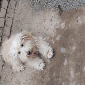 ab32ad8a648928bb001e26e7fb22ec85 zzz 1