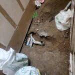 خدمات بنایی لوله کشی ورفع ونم حمام وتوالت