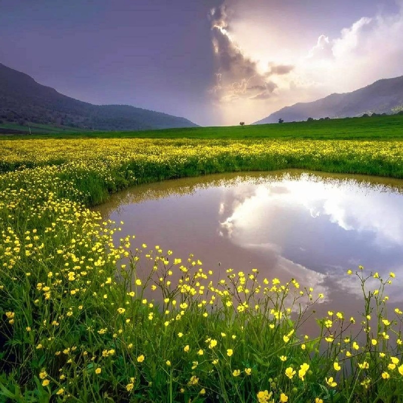آدم خیره