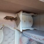 تخت ۲ نفره سفیدطلایی بفروش میرسد