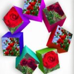 اتلیه‌انلاین‌مهناز‌‌کارم‌عکاسی‌هسته