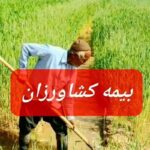 ثبت و صدور بیمه نامه