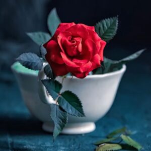 f799dfe40fb65b5b293a3fbb08d5b297 zzz 1