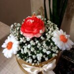 تولیدانواع شمع