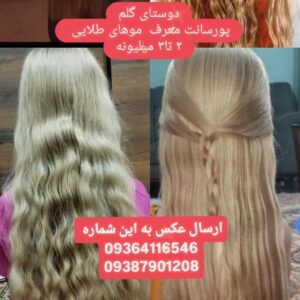 3ab23ea1fa72109ae11507cd59ff056d zzz 1