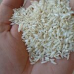 برنج عنبربو بشرط خالص