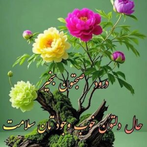 63ca0757c4d579b02ebe5f67e9e3ac10 zzz 1