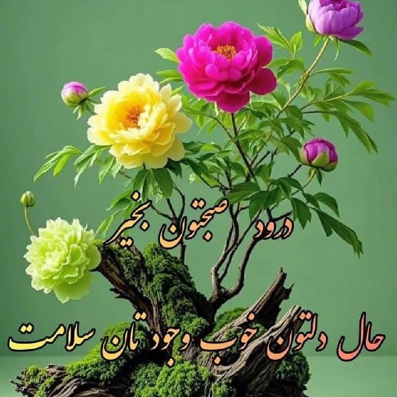 پرستار برای ی خانوم ۷۵ساله کاملا سالم