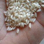 برنج عنبربو بشرط خالص