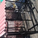 قفس پانسیون سگ