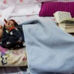 سلام گمشده تقاضا دارم